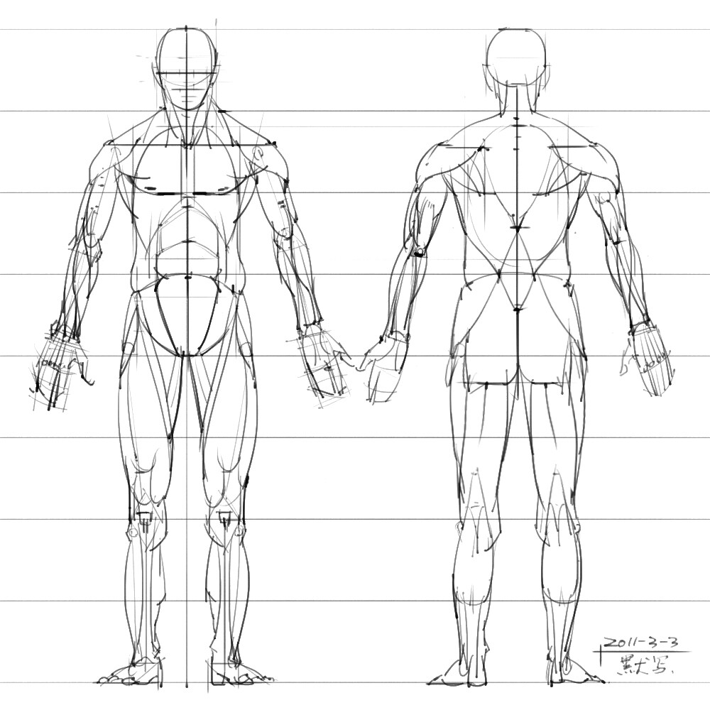 绘画参考+人体解剖、骨骼结构