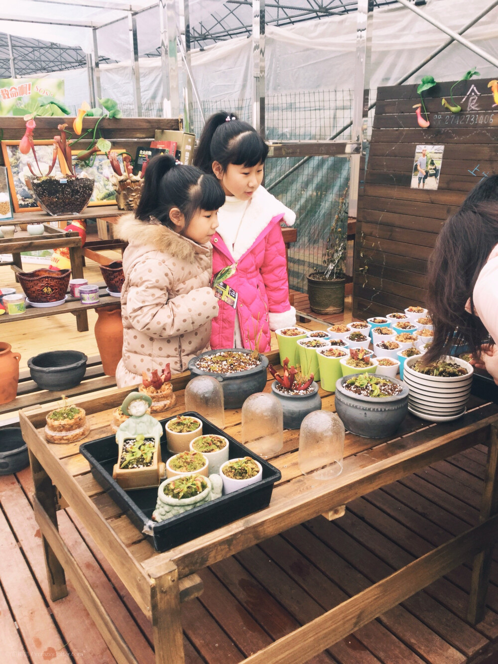 华中食虫植物体验馆 位于武汉花卉博览园