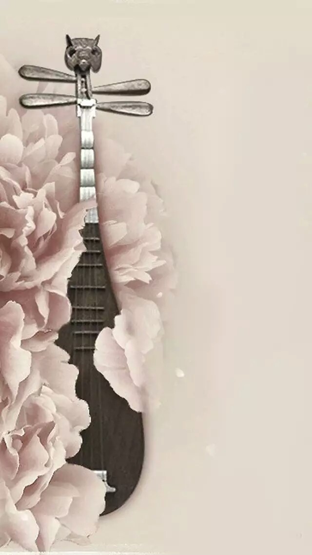 琵琶- 堆糖,美图壁纸兴趣社区