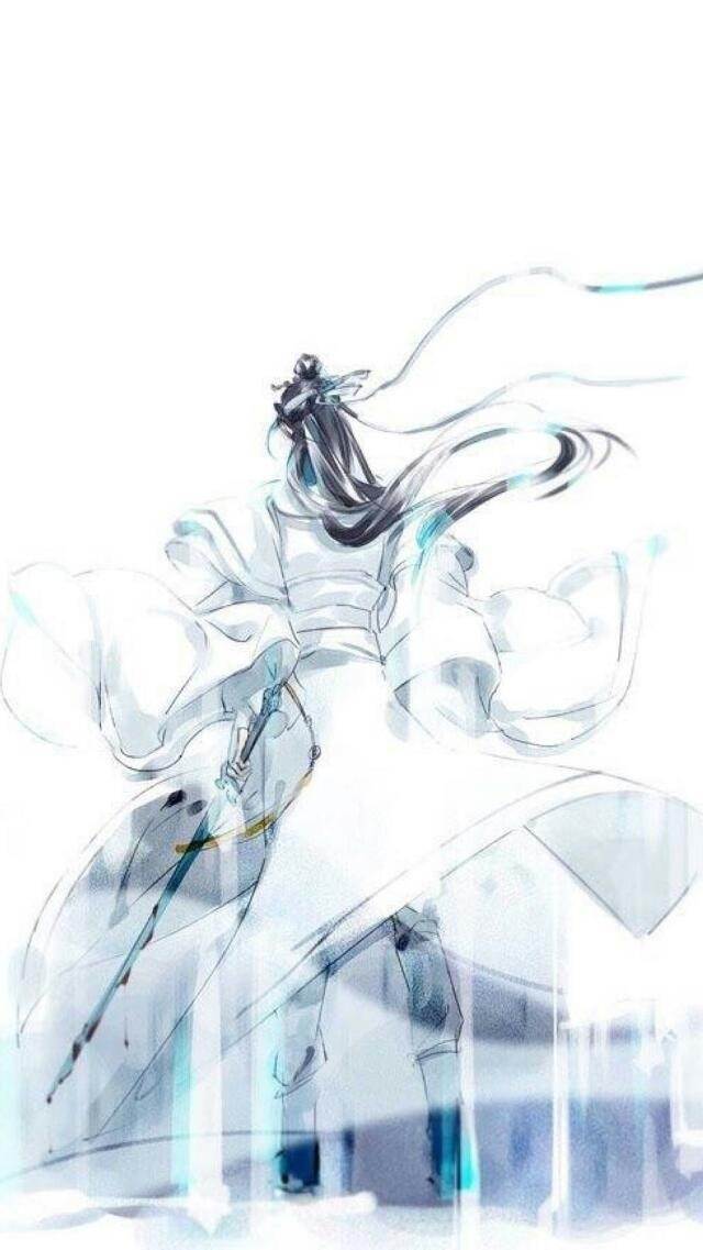 魔道祖师，蓝忘机