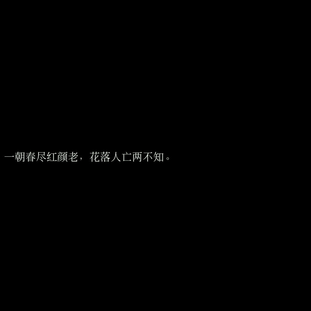 黑底文字
歌词
诗词
原创句子