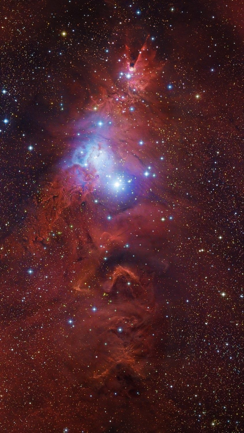 其实是四个天体:锥状星云,圣诞树星团,雪花星团和狐狸皮星云