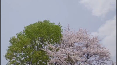 《小森林·夏秋篇》高分冷门的日本美食治愈电影，画面超级小清新，值得回味。