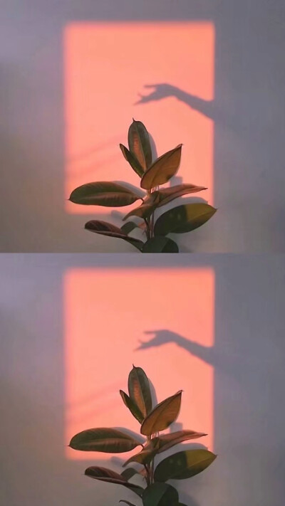 手机壁纸 微信QQ背景图