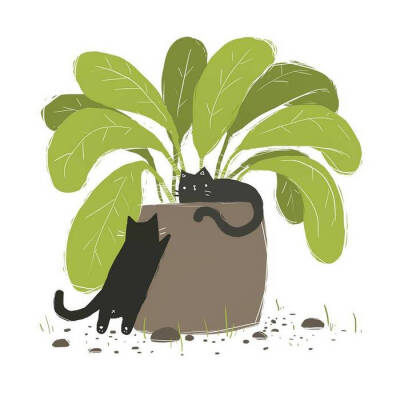 猫咪插画_by_KelseyKing