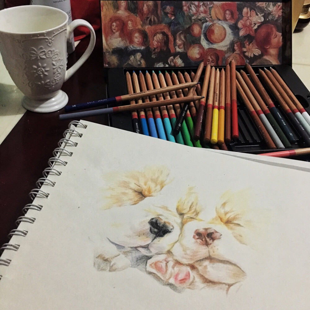 放假第一幅彩铅～