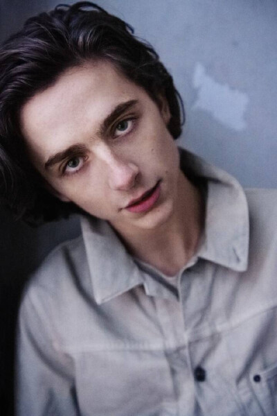 timothée chalamet