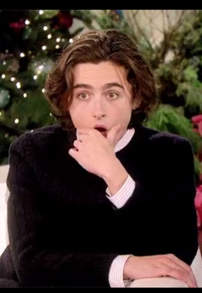 timothée chalamet