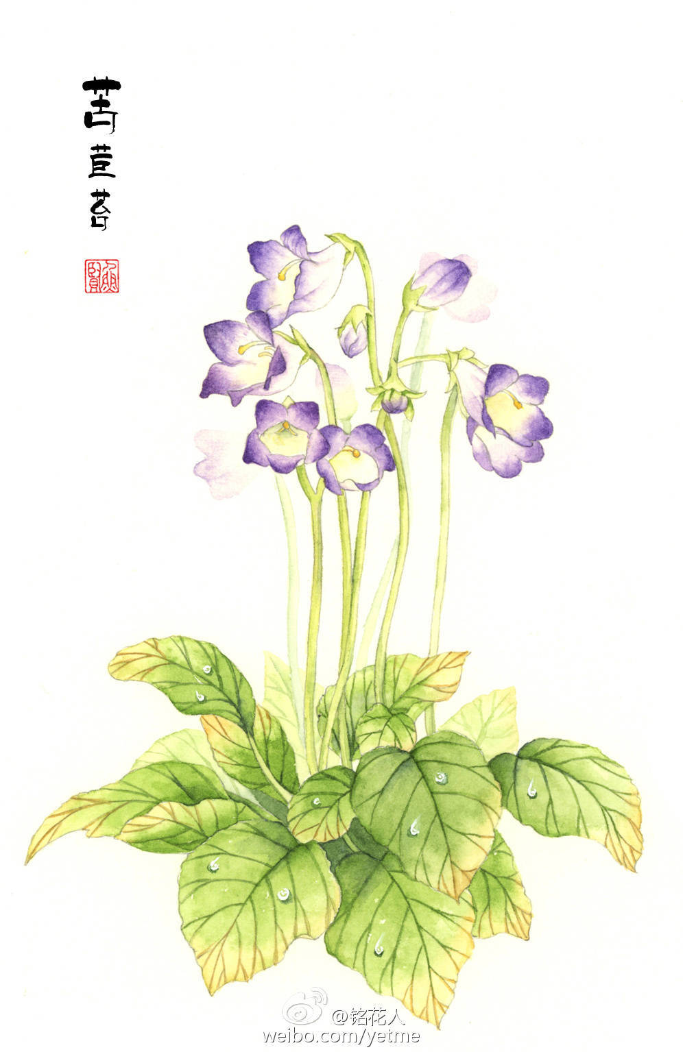 手绘古风花