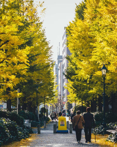 日本街道