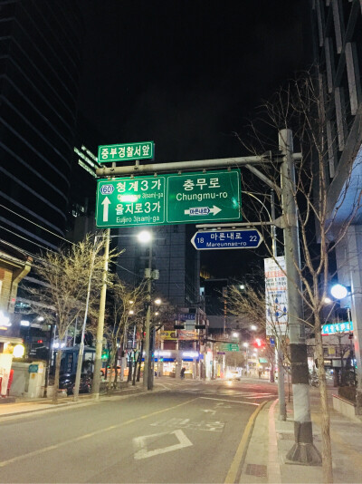 夜景跟台湾星夜天空有点像呢。走在回来的路上偶遇下雪❄️，但是不大。