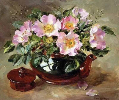 Anne Cotterill 女画家笔下的花朵 ​​​​