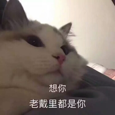 闲置表情包