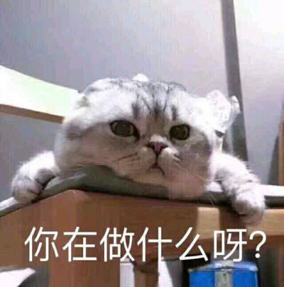 表情包