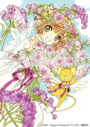 clamp