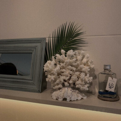 莓里の『壁纸 键盘图』