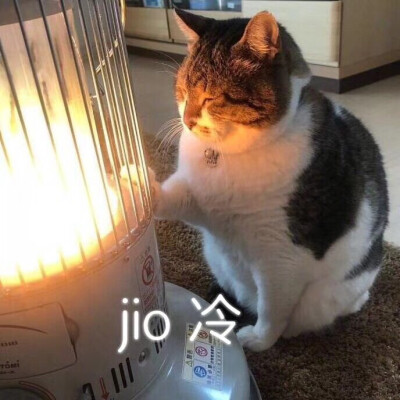 jio冷