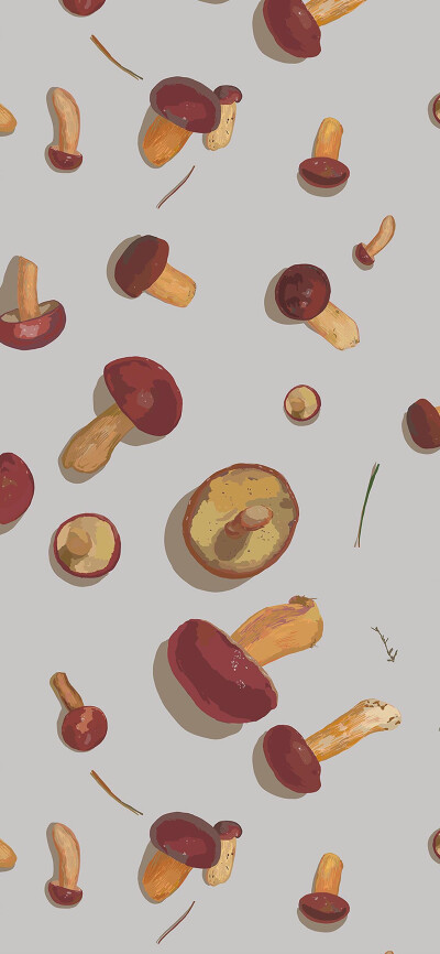 食材iPhone X壁纸