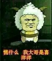 混入了奇怪的东西