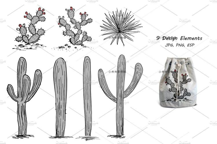 手绘西部沙漠仙人掌植物卡片图案设计AI PNG PSD设计素材ai305