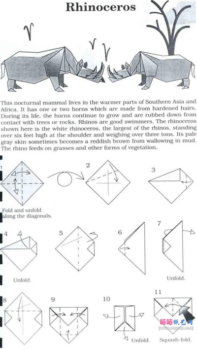 折纸 犀牛