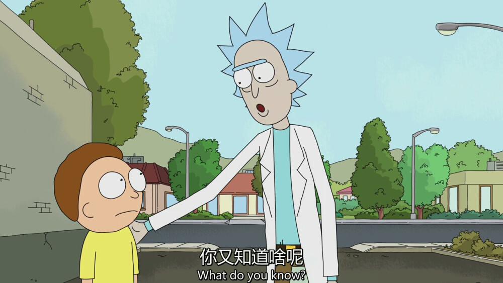 Rick and Morty 你又知道啥呢