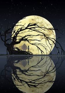  等一个人、还是等一个故事。 泅渡一个世界、共一场生死。
