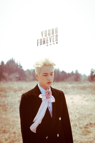 花样年华系列youngforever
防弹少年团