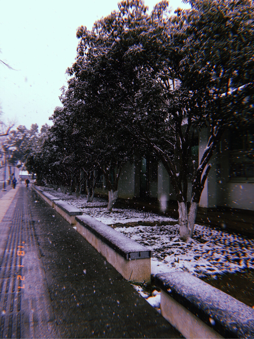 蘇州雪