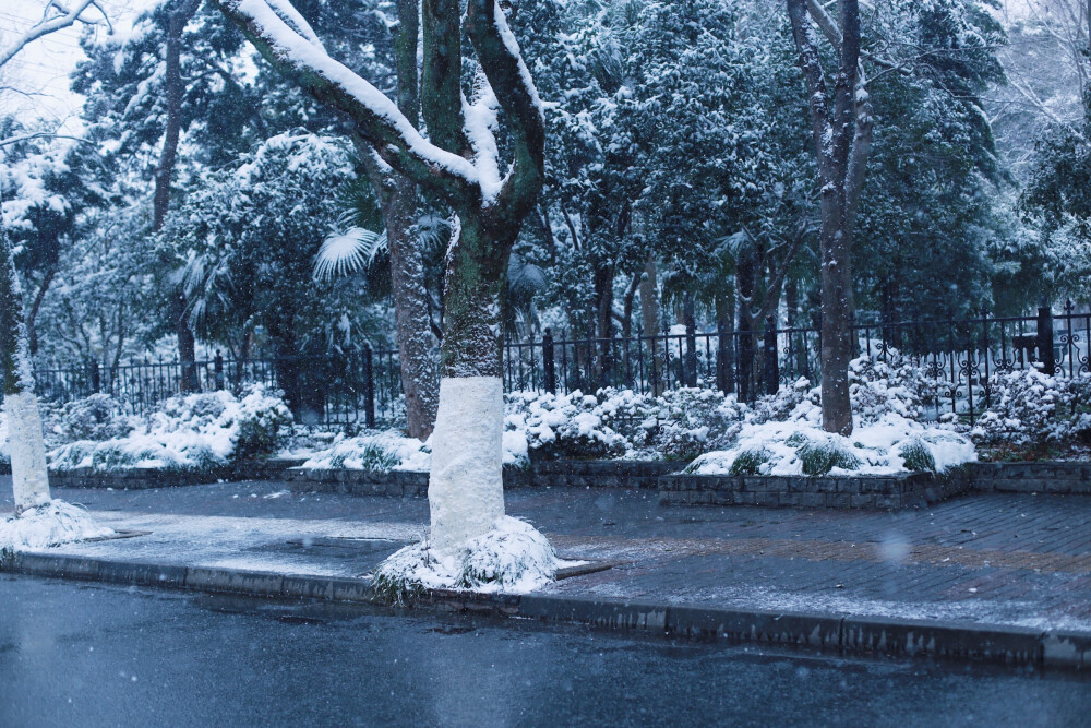 蘇州第一場雪