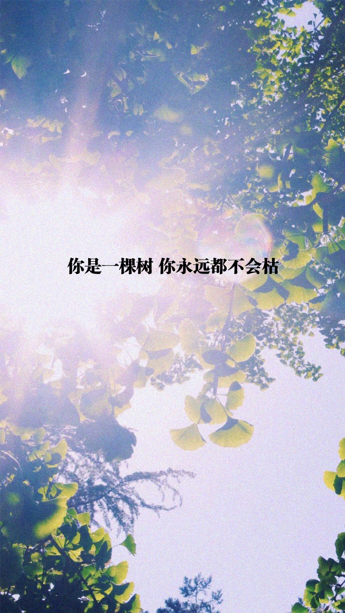 自制+壁纸+背景+文字+禁止加水印修改