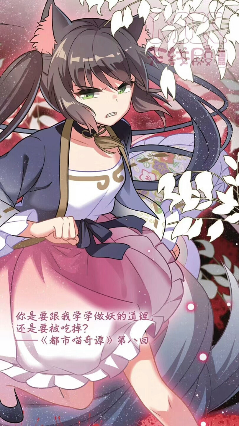都市喵奇谭