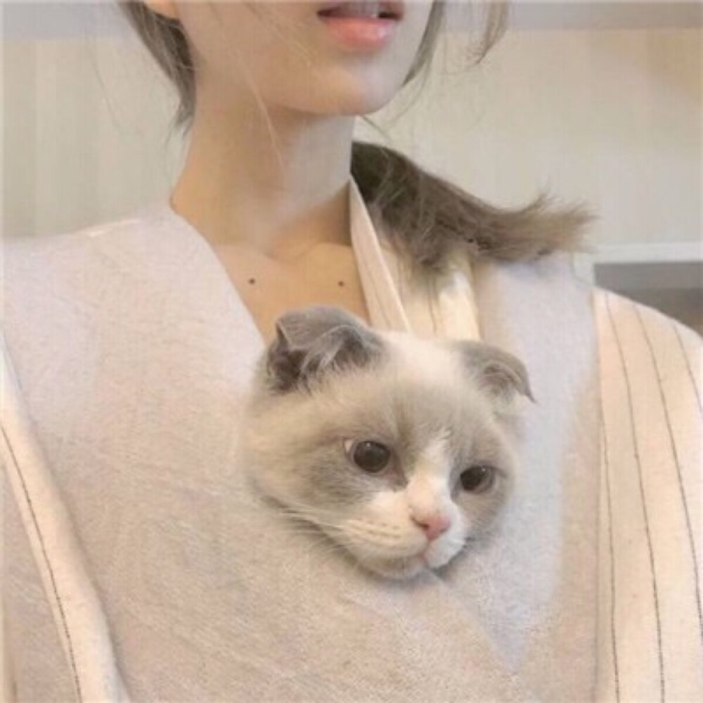 猫女