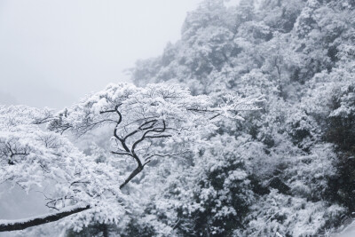 三清山