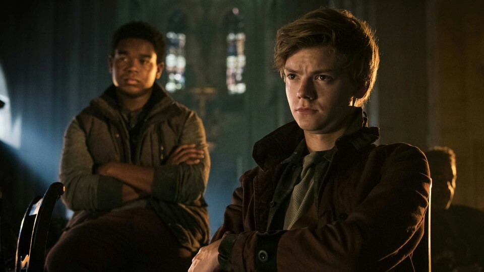 托马斯·桑斯特/移动迷宫三
小迷宫三的新剧照和一只别扭桑（别扭桑太可爱啦!!）