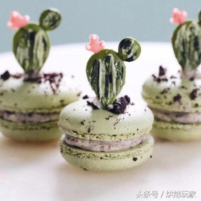 马卡龙