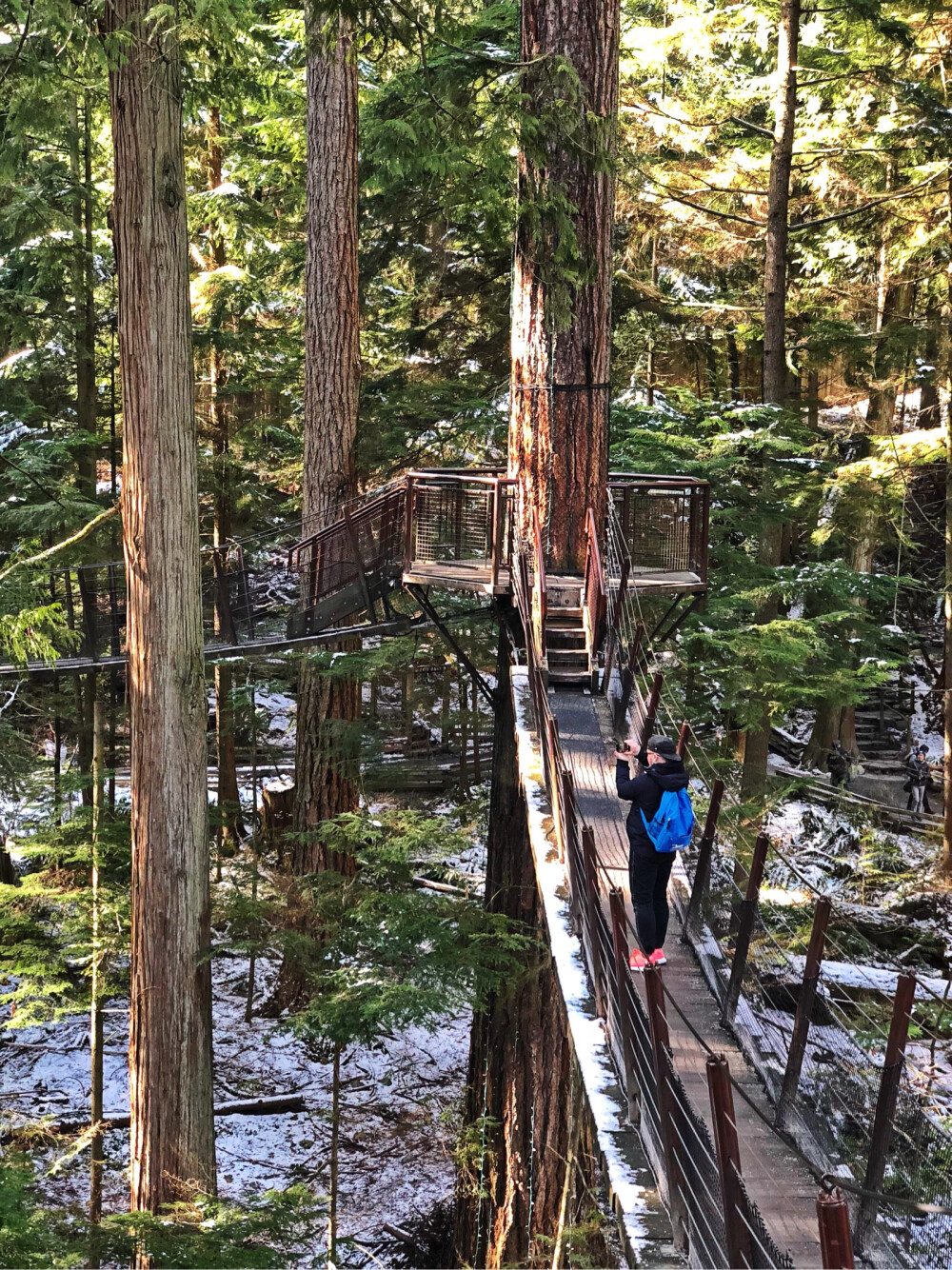 风景在我眼前，人在风景中……（温哥华吊桥公园）