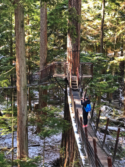 风景在我眼前，人在风景中……（温哥华吊桥公园）