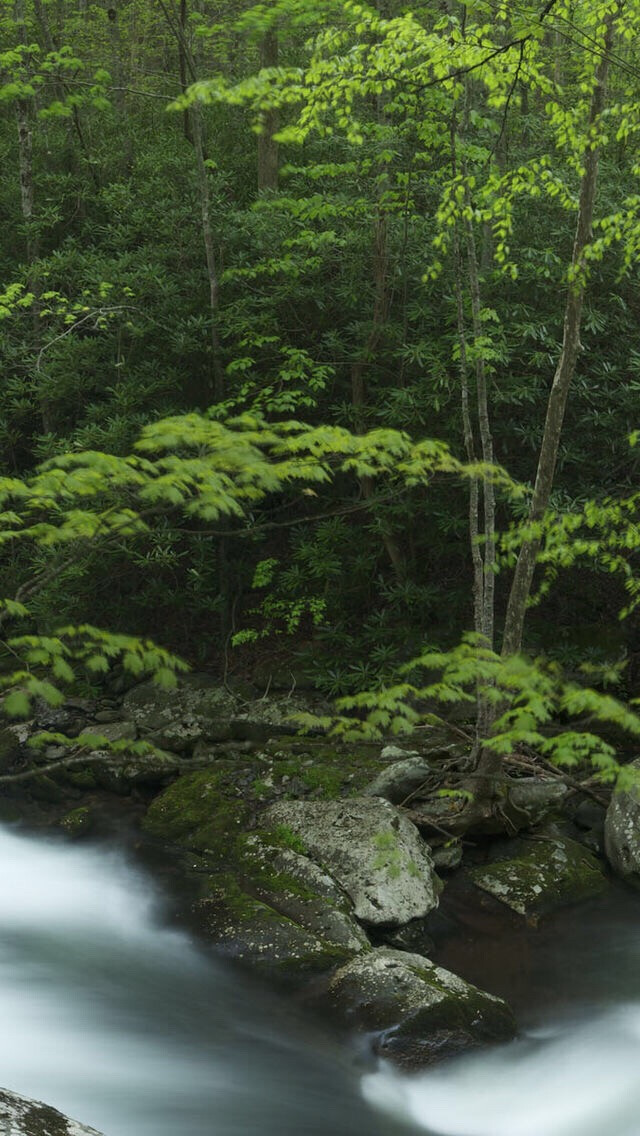 高清壁纸——风景静物