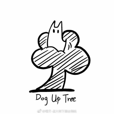 dog up tree