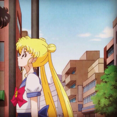 #Sailor Moon #美少女战士 #月野兔 #假面 #情头