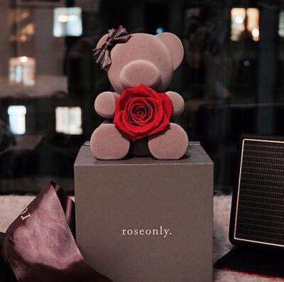 Roseonly熊