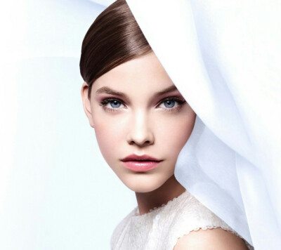 芭芭拉·帕尔文