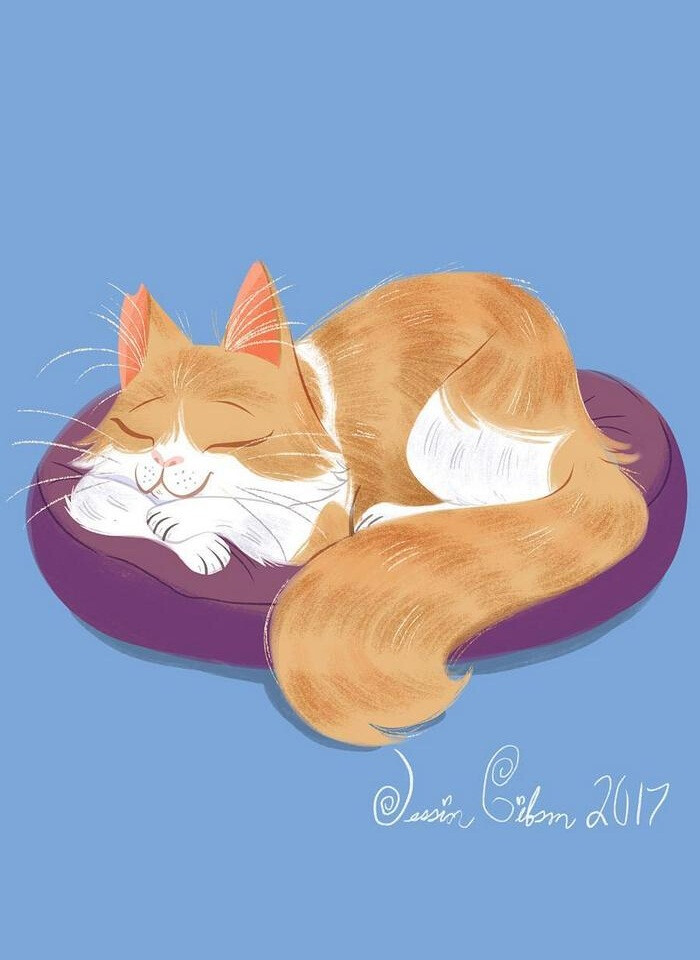 猫咪_插画 By_Jessica Gibson