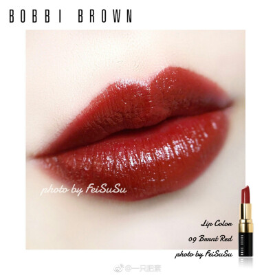 bobbi brown 09 burnt red♡
无敌了 最喜欢的铁锈红！宠爱了一个多月了
弧形切面也是很贴心了！
@一只肥素