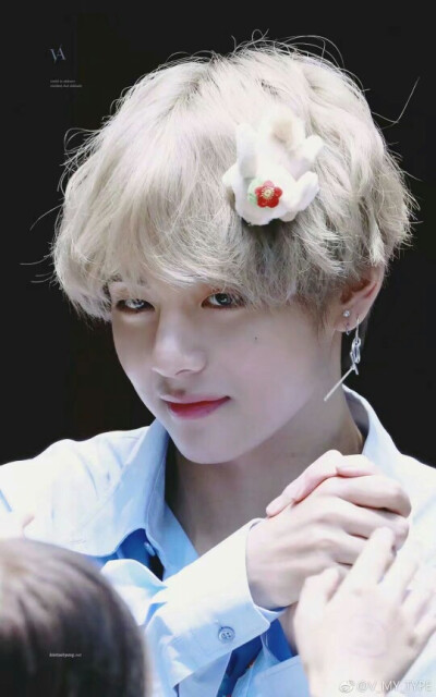 BTS V 金泰亨 首帅