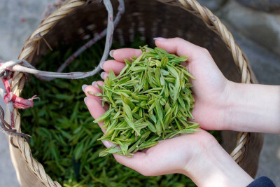 茶室 茶道 禅意 茶空间