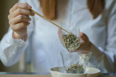 茶室 茶道 禅意 茶空间