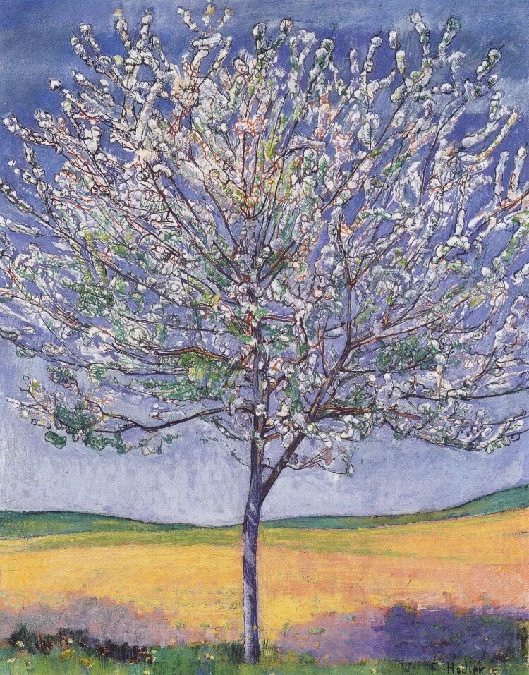 Cherry Tree In Bloom, Ferdinad Hodler［瑞士］
在春天，给你最初的幸福。
打开窗户，打开一个春天。
