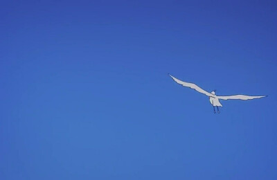 玉子的爱情故事 二次元 自截 背景图